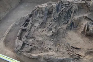 Археологи откопали в пригороде Павлодара кимакскую колесницу