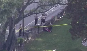 В США праздник закончился стрельбой по людям