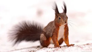 Погода без осадков ожидается на большей части территории Казахстана