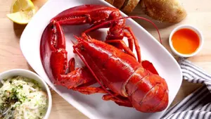 СМИ: Пентагон за четыре года потратил 55 миллионов долларов на деликатесы