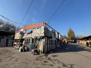 Алматыда заңсыз нарықты бұзады