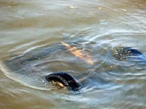 Грузовик и легковушка упали в реку. Двое погибших