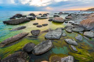 Научно-исследовательский институт Каспийского моря появится в Казахстане