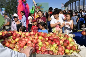 Как пройдет День города в Алматы