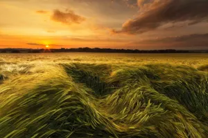 Ветреная погода ожидается в нескольких областях Казахстана