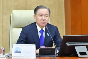 В попытке «распилить» бюджет обвинил Минэкологии Нигматулин