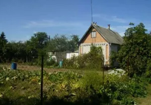 Дачный насильник задержан в Павлодаре