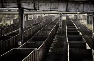 Мальчик из Щучинска уехал от опекунов в вагоне с углем