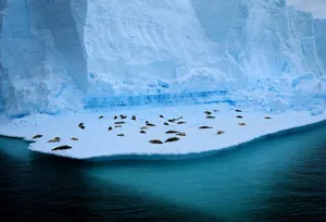 Озоновая дыра над Антарктидой стала в два раза больше континента