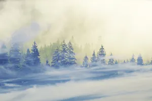 Снег и метели ожидаются на большей части Казахстана