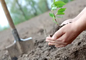 Общество поддержки инвалидов просит изменить условия тендера в Актау