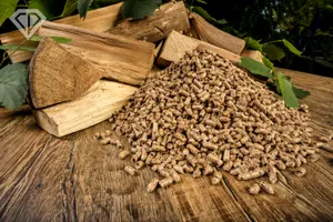 Жители Европы начали массово рубить деревья