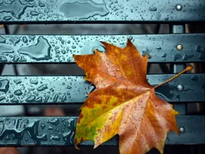 Дожди пройдут на северо-западе Казахстана