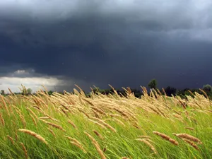 Жетісу может затопить – «Казгидромет»