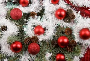 На Президентской елке сиротам подарят планшеты