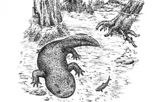 Останки древнейшей саламандры нашли палеонтологи в Кыргызстане