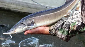 Экологический ущерб в миллиард тенге предотвратили в Мангыстау