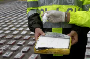 Крупнейшую партию кокаина изъяли в Бельгии