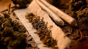 В Кокшетау студентку задержали за торговлю наркотиками