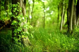 К ЭКСПО-2017 в столице построят 10 крупных объектов