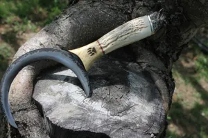 Народные приметы: время наблюдать за погодой