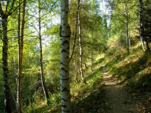 12 студентов искали спасатели в горах