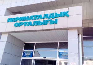 В шымкентском роддоме накажут медсестру, перепутавшую тела мертвых младенцев