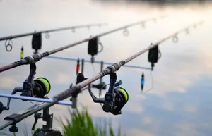 Почти 10 миллионов тенге заплатили за незаконный улов рыбы жители ВКО