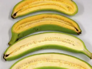 Австралийские учёные вывели сорт банана с ударной дозой витамина А