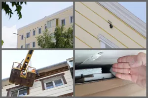 Тысячи голубей заживо замуровали при ремонте фасадов в Костанае