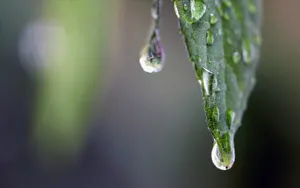 В Казахстане сохранятся осадки