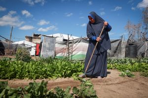 День Земли в Газе: Память и борьба за оставшиеся земли