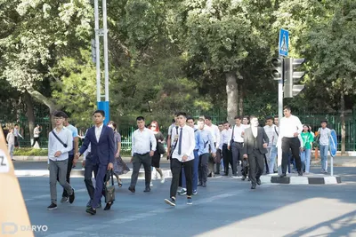 Объявлена дата начала нового учебного года в вузах и академических лицеях Узбекистана 18:58 / 23.08.2025