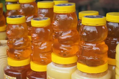 Более 360 тонн продукции привезут фермеры в Алматы