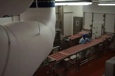 Казахстанский McDonald’s, возможно, будет готовить из отечественного мяса