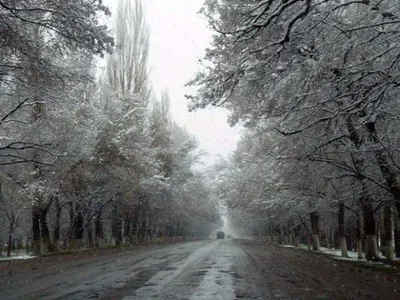 Б. Байбек провел выездное совещание по реализации проекта Яна Гейла