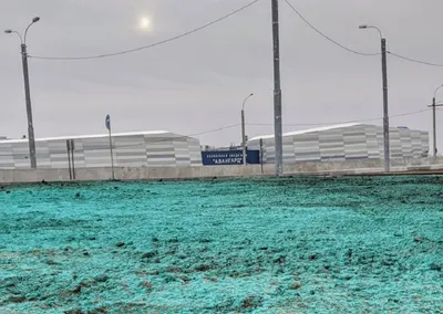 Перед визитом Токаева и Путина «покрасили» землю в Омске