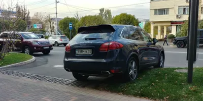 Хозяйка припаркованного на газоне внедорожника наказана