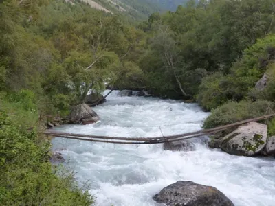 Пытавшаяся сделать селфи 15-летняя девочка утонула в реке в Кыргызстане