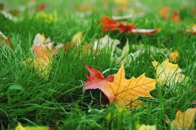 В Казахстан придет тепло