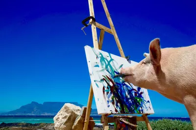 Заработавшая миллион долларов свинья Пигкассо умерла в ЮАР