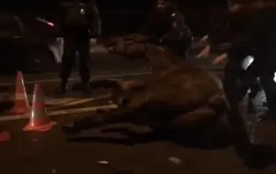 В Москве водитель сбил полицейского на лошади