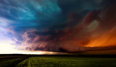 Сильный дождь с грозой ожидается в Шымкенте