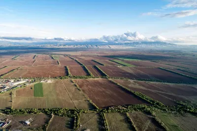 Неиспользуемые земли возвращены государству в Костанайской области