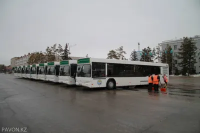 Власти Павлодара подают в суд на нового собственника автобусного парка