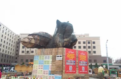 Знаменитую белку перенесут в Алматы