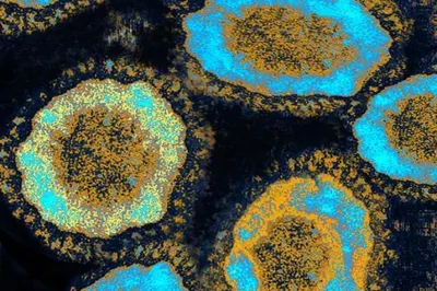 Казахстанских туристов предупреждают о коронавирусеЭксклюзив