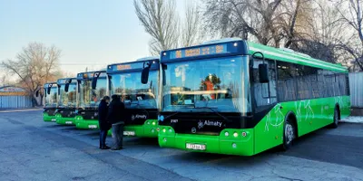 Новые автобусы вышли на маршрут №86 в Алматы
