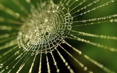 Ряд областей Казахстана охватят дожди и грозы