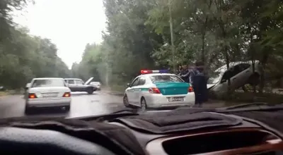 В Шанырак-1 машину занесло на дерево